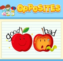 Opposite words with pictures for kids