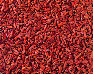 Fototapeta premium Go goji. Full frame studio shot of a pile of goji berries.