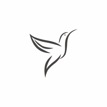 illustration logo bird image icon
