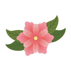 Fototapeta premium pink flower with leaves