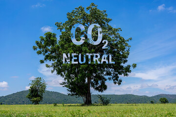 CO2 neutral written on a tree trunk, carbon neutrality concept.