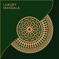 Luxury mandala background with golden elements vector in illustration Premium Vector
