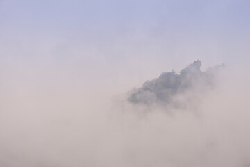 Naklejka na ściany i meble Misty jungle in Asia has sunrises evaporating morning dew Chiang Mai