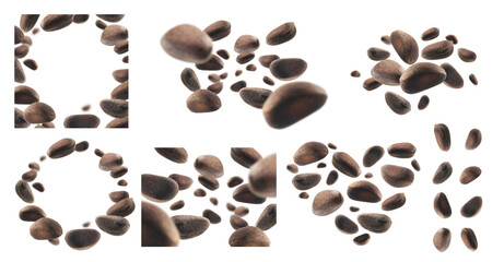 A set of photos. Pine nuts levitate on a white background