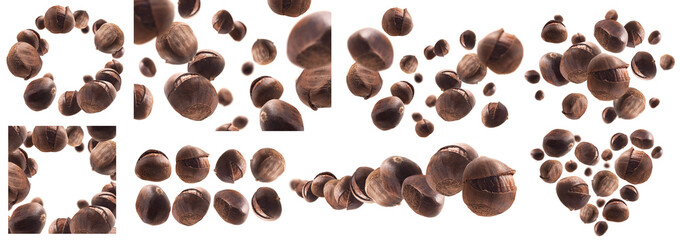 A set of photos. Ripe chestnuts levitate on a white background