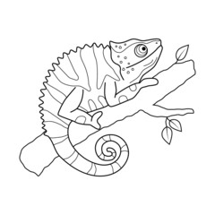 Stock vector funny chameleon sitting on a tree branch outline hand drawn illustration