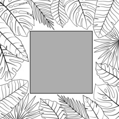 Stock vector tropical leaves frame outline black and white hand drawn illustration