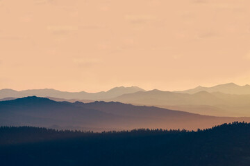Gradient sunset in gentle pink-orange tones among mountains and pine forest. Ergaki