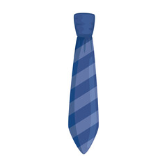elegant tie accessory