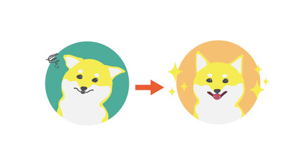 柴犬の表情ビフォーアフター　イエロー