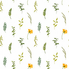 Fototapeta na wymiar Watercolor simple wild flowers pattern. Summer floral background with small flowers. Hand drawn flowers and plants seamless pattern for print, fabric, textile, wrapping, wallpaper. 