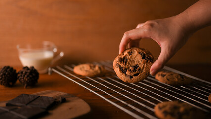 Female hands picking up a piece of freshly tasty baked chocolate chip cookies