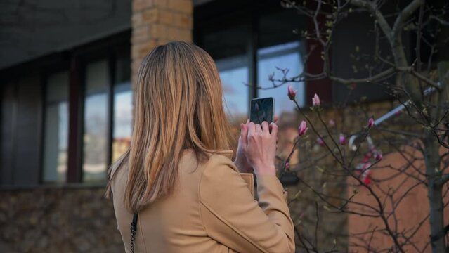 Woman using smartphone to taking a photo of first magnolia flowers at city street