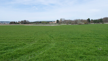 Fototapeta na wymiar Campos de cultivo verdes de primavera en pradera.
