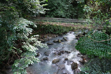Crossing a short suspension bridge over the Mamut River to the Poring Hot Spring, Sabah Malaysia