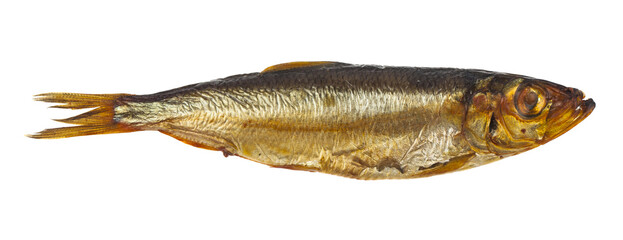 Smoked capelin fish isolated on white background.