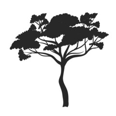 tree plant silhouette