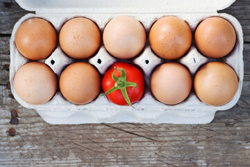 brown chicken eggs an one red tomato in carton box with top view