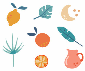 Matisse abstract lemon, orange and leaves. Contemporary art print. Organic tropic fruits leaves in abstract style. Set of trendy doodle elements. Bundle vector natural shapes, minimalist illustration
