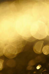 golden blur background, Christmas texture