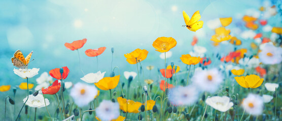 Beautiful colorful flower meadow with multi-colored poppies and fluttering butterflies in nature in...