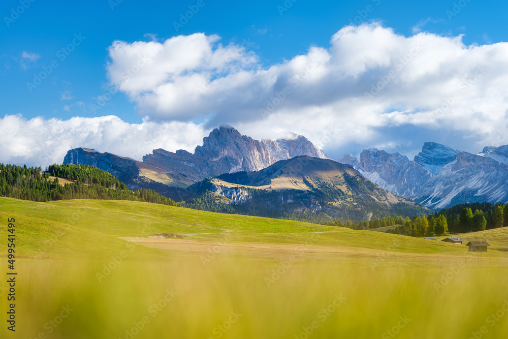 Canvas Prints mountains peaks, forest and meadow. mountain range and clear blue sky. italian landscape in the summ