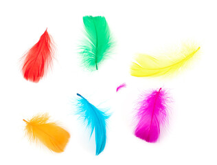 set of colorful feathers isolated on white