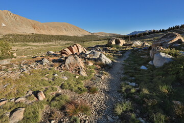 Beautiful Scenery in Sierra, Central California