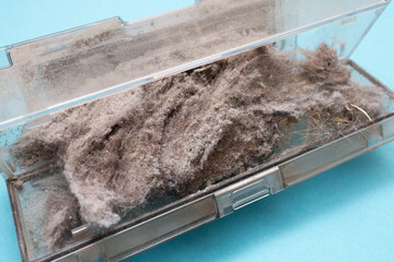 Container in the vacuum cleaner is completely clogged with dust and dirt. House, office and...