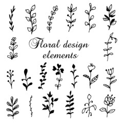 Vector hand drawn floral set of elements. Drawings.
