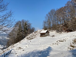 Fototapeta na wymiar Indigenous alpine huts and wooden cattle stables on Swiss pastures covered with fresh white snow cover, Nesslau - Obertoggenburg, Switzerland (Schweiz)