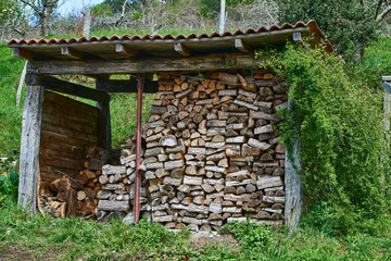 Naklejka premium Pile of stacked firewood
