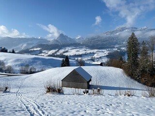 Indigenous alpine huts and wooden cattle stables on Swiss pastures covered with fresh white snow cover, Nesslau - Obertoggenburg, Switzerland (Schweiz)