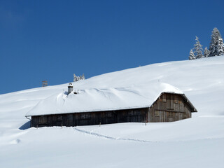 Indigenous alpine huts and wooden cattle stables on Swiss pastures covered with fresh white snow cover, Nesslau - Obertoggenburg, Switzerland (Schweiz)