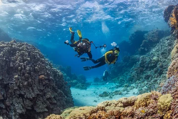 Tuinposter Underwater exploration. Divers dive on a tropical reef with a blue background and beautiful corals. © underwaterstas