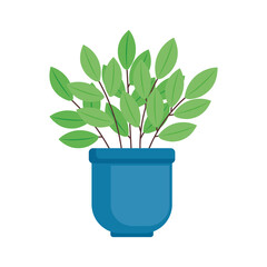 houseplant in blue pot