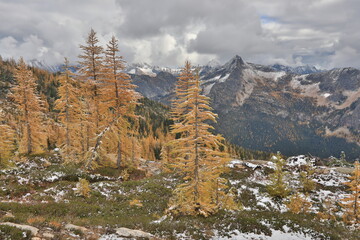 Beautiful mountain in Washington State