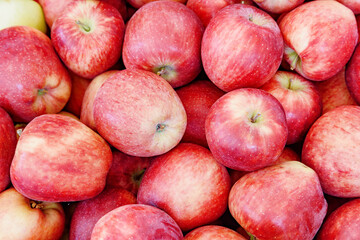 Closeup view of fresh red apples. Good harvest of fruits