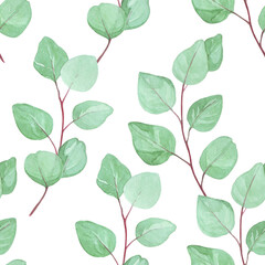 flat watercolor seamless pattern with eucalyptus leaves. ripe green tropical eucalyptus leaves on white background