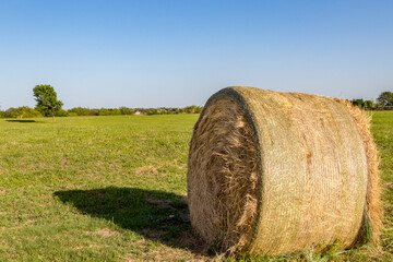hay bales in the field