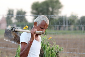 photo of An indian senior aged male farmer standing in field , india