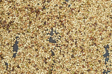  Close up of coffee beans for background                                                               
