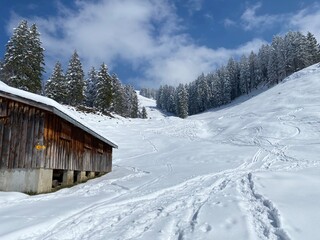 Wonderful winter hiking trails and traces on the slopes of the Alpstein mountain range and in the fresh alpine snow cover of the Swiss Alps, Nesslau - Obertoggenburg, Switzerland (Schweiz)