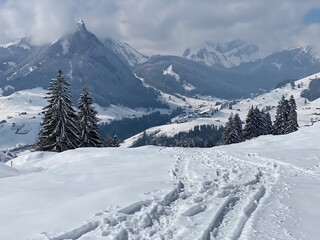 Wonderful winter hiking trails and traces on the slopes of the Alpstein mountain range and in the fresh alpine snow cover of the Swiss Alps, Nesslau - Obertoggenburg, Switzerland (Schweiz)