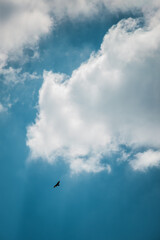 clouds in the sky