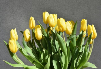 bukiet zółtych tulipanów