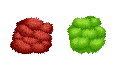 Green and red shrubs for park or garden decor. Summer landscape design vector illustration