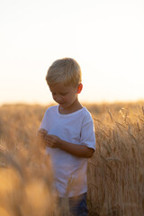 Naklejka na ściany i meble A boy standing in wheat field at sunset. Odessa, Ukraine