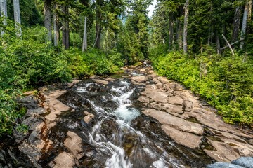 An overlooking landscape view of Mt Rainer NP, Washington