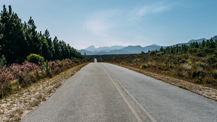 Fototapeta na wymiar lange Strasse in Südafrika mit blauen Himmel bis in die Berge